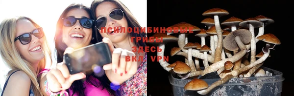 амфетамин Каменка
