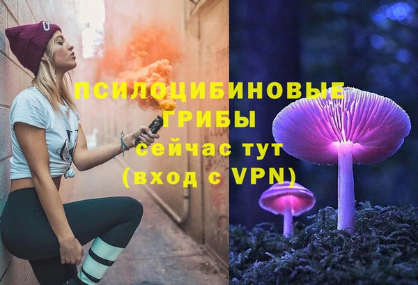 Альфа ПВП Каменногорск