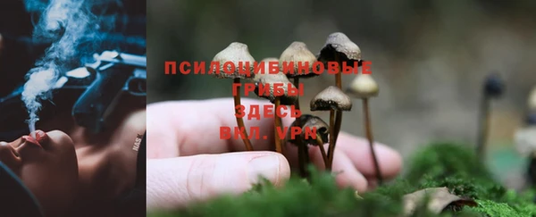 амфетамин Каменка