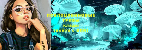 Альфа ПВП Каменногорск