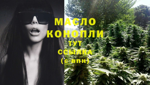 амфетамин Каменка