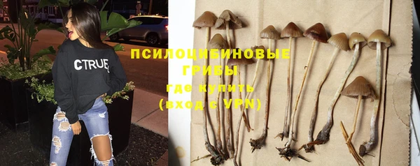 Альфа ПВП Каменногорск