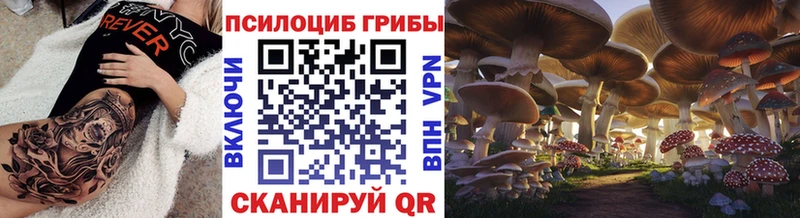 купить наркоту  Малаховка  Псилоцибиновые грибы Psilocybe 